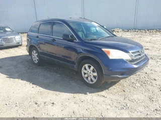 HONDA HONDA CR-V SE