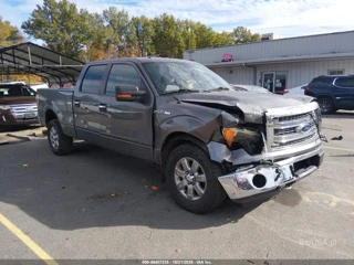 FORD FORD F-150 XLT