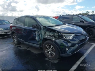 TOYOTA TOYOTA RAV4 XLE