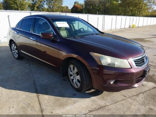 HONDA HONDA ACCORD 3.5 EX-L