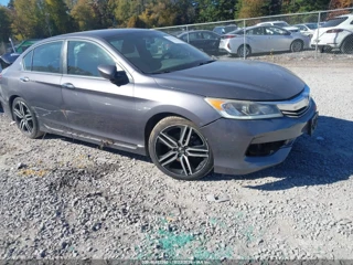 HONDA HONDA ACCORD SPORT