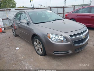 CHEVROLET CHEVROLET MALIBU 1LT