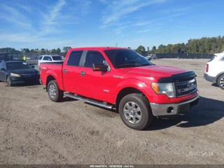 FORD FORD F-150 XLT