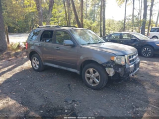 FORD FORD ESCAPE LIMITED