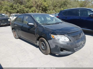 TOYOTA TOYOTA COROLLA LE