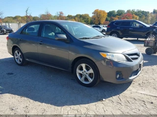 TOYOTA TOYOTA COROLLA LE