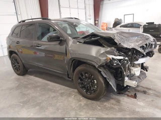 JEEP JEEP CHEROKEE ALTITUDE LUX 4X4