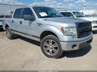 FORD FORD F-150 STX