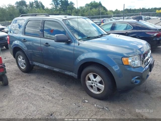 FORD FORD ESCAPE XLT