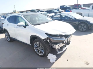 LEXUS LEXUS NX 350 LUXURY