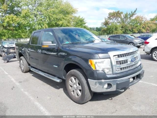 FORD FORD F-150 XLT