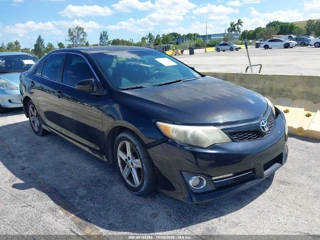 TOYOTA TOYOTA CAMRY SE