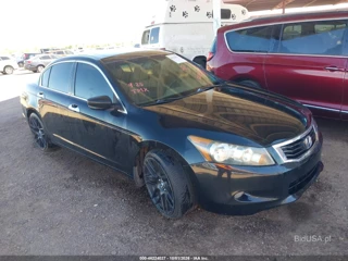 HONDA HONDA ACCORD 3.5 EX-L