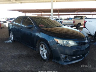 TOYOTA TOYOTA CAMRY SE