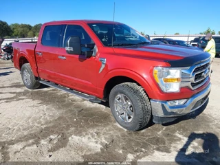 FORD FORD F-150 XLT