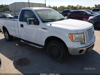 FORD FORD F-150 XLT
