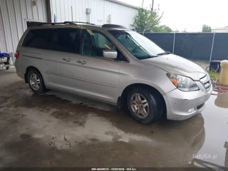 HONDA HONDA ODYSSEY EX-L