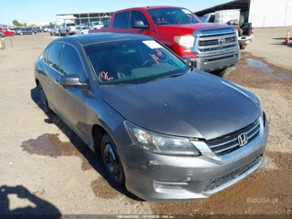 HONDA HONDA ACCORD EX-L V-6