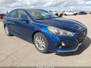HYUNDAI HYUNDAI SONATA ECO