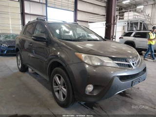 TOYOTA TOYOTA RAV4 XLE