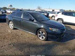 TOYOTA TOYOTA CAMRY SE
