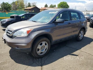HONDA CR-V LX