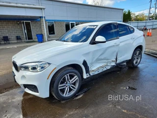BMW X6 XDRIVE35I