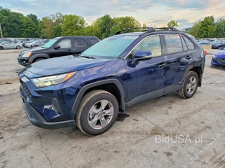 TOYOTA RAV4 HYBRID XLE