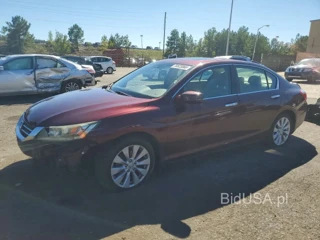 HONDA ACCORD EXL