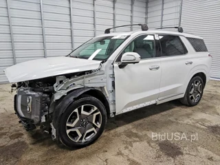 HYUNDAI PALISADE CALLIGRAPHY