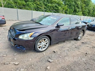 NISSAN MAXIMA
