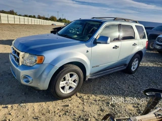 FORD ESCAPE HEV