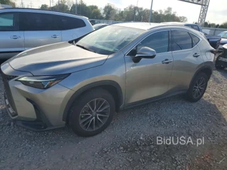 LEXUS NX 250