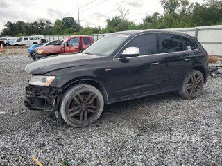 AUDI SQ5 PREMIUM PLUS