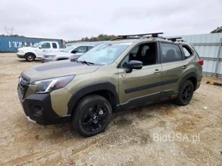 SUBARU FORESTER WILDERNESS