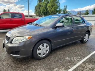 TOYOTA COROLLA LE
