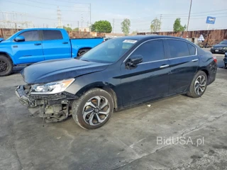 HONDA ACCORD EXL