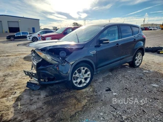 FORD ESCAPE SEL
