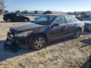 HONDA ACCORD LXP