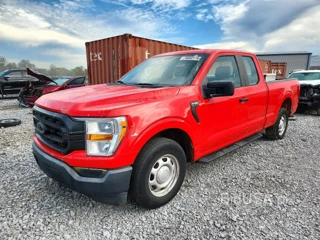 FORD F150 XL