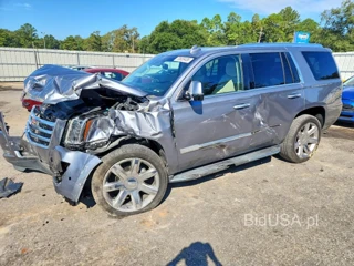 CADILLAC ESCALADE LUXURY