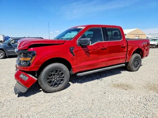 FORD F150 XLT