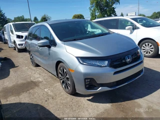 HONDA HONDA ODYSSEY ELITE