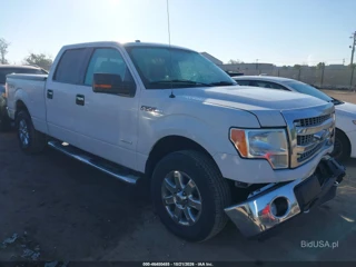 FORD FORD F-150 XLT
