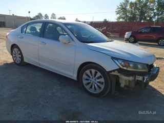 HONDA HONDA ACCORD EX-L