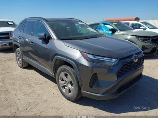 TOYOTA TOYOTA RAV4 XLE