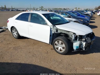 TOYOTA TOYOTA CAMRY LE V6