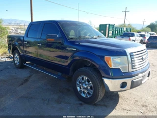 FORD FORD F-150 XLT