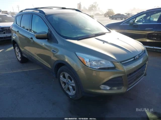 FORD FORD ESCAPE SE
