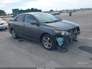 TOYOTA TOYOTA COROLLA LE